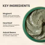 Axis-Y Mugwort Pore Clarifying Wash Off Pack 100ml - Image 4