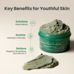 Axis-Y Mugwort Pore Clarifying Wash Off Pack 100ml - Image 3
