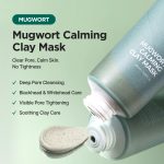 Isntree Real Mugwort Clay Mask 20ml - Image 2