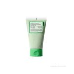 FULLY Green Tomato Clay Pack Cleanser